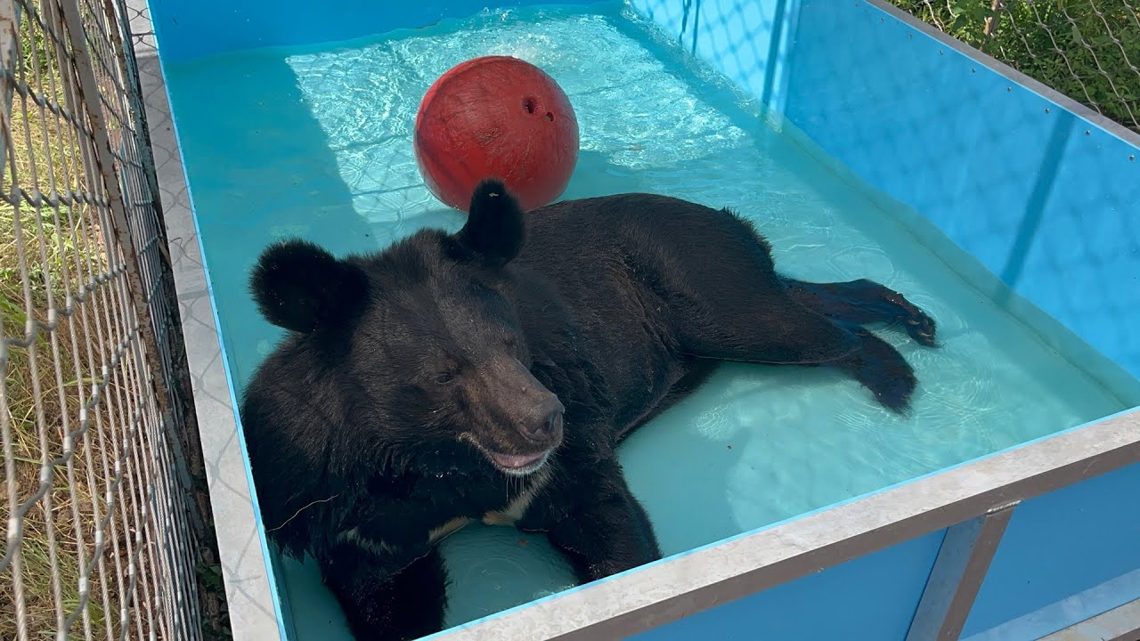 Ейска сборные дома видео
