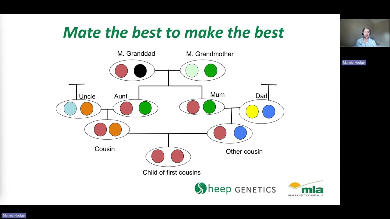 2.  Genetic principles driving MateSel