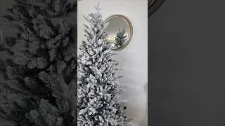 How to Light an Unlit  Christmas Tree Wealth