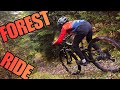 VTT ENDURO - FOREST RIDE ! 🍂 🌲