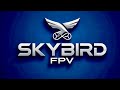 Sky Bird FPV / iFlight 04 pro / dual band ElRS / Outside of NFZ with B-RID