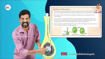 First Bell 2.0 Plus One Botany Class 14