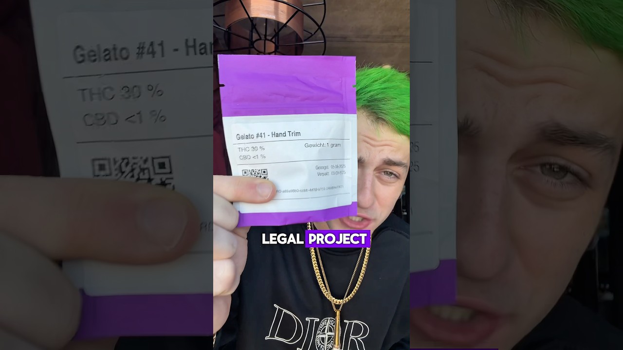 How is the Netherlands legal Gelato 41?