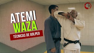 Técnicas de golpeo en Judo: Atemi Waza