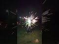 #ナツノオモイデ#花火#夏の思い出#可愛い#2021年#夏