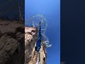 I have no intention of competing with you. Goodbye#Bungee jumping at Baoquan#Thrilling and