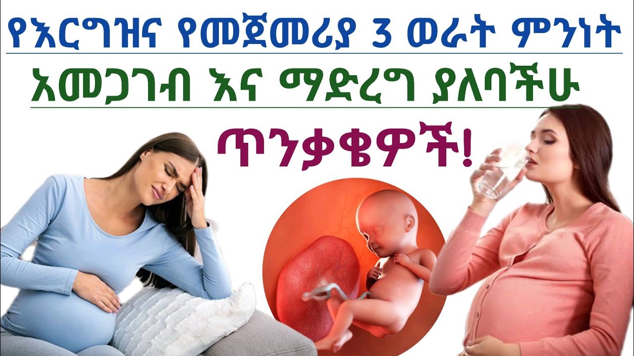 የእርግዝና የመጀመሪያ 3 ወራት ምንነት,አመጋገብ እና ማድረግ ያለባችሁ ጥንቃቄዎች| 1st trimester pregnancy and deit plan