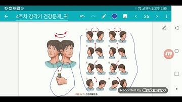 4 2 3  감각장애환자 간호 귀3