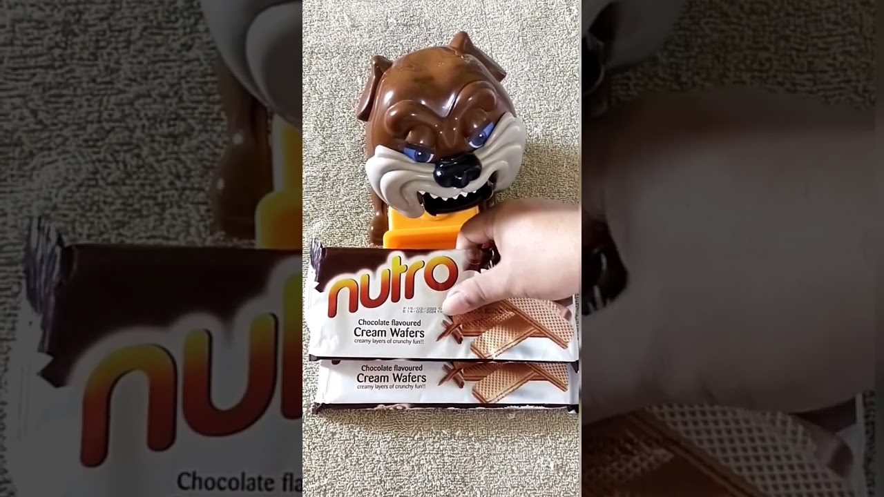Mad dog Don't try to steal my favorite NUTRO Cream Wafers  