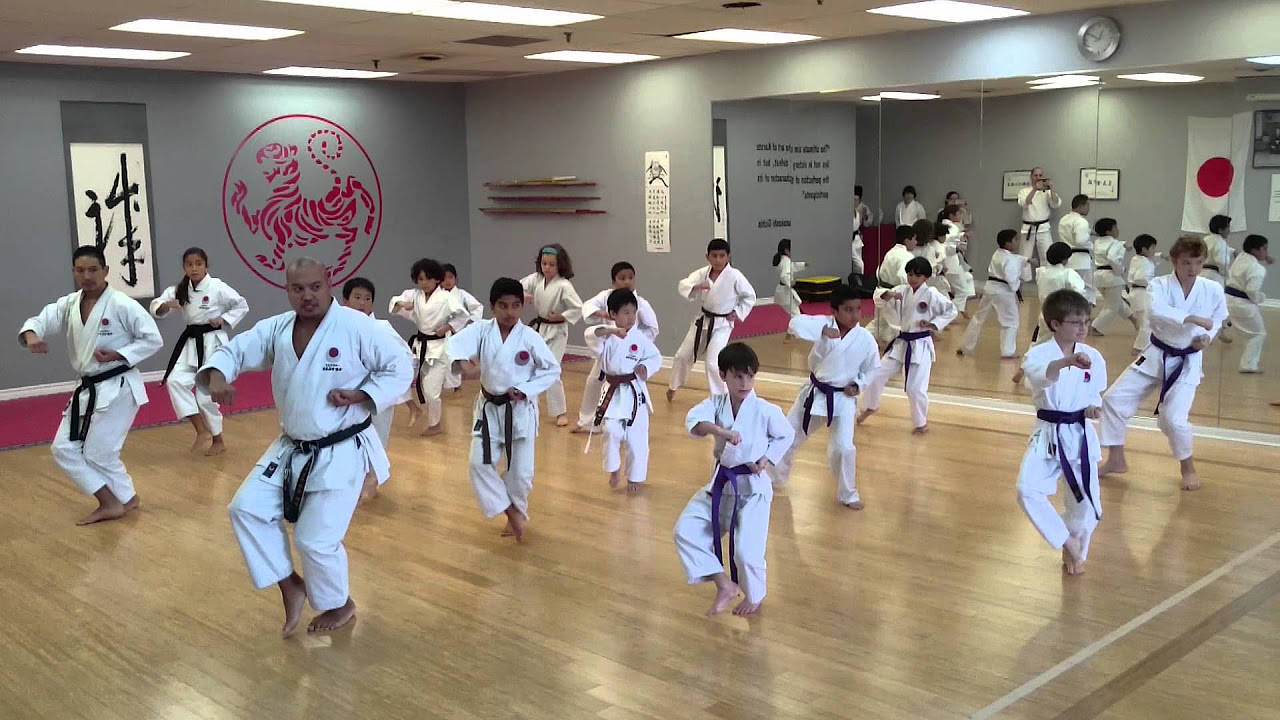 World Class Karate   Tekki Shodan   Ray Tio