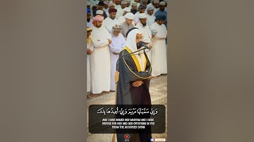 سورة آل عمران SURAH AAL IMRAAN رمضان 1445 RAMADAN 2024 #عبدالولي_الاركاني #abdulwali_alarkani