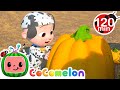 Pumpkin Patch Adventure with JJ! | Animals for Kids | Animal Cartoons | Funny Cartoons