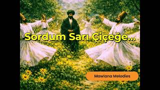 Sordum Sarı Çiçeğe... - Yunus Emrenin Sırlarla Dolu Ilahisi - Tasavvuf Yolculuğu