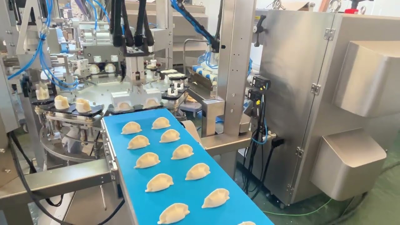 🚀 Soontrue Industrial Dumpling Machine · Macau Factory Line En Route