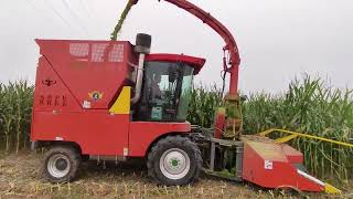 Senrui Forage Harvester Harvesting Corn Silage Real Field Work