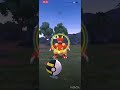 o video parecendo um ataque epilético mas ok KKKKKKKKKKKK #pokemon #pokemongo #grinding
