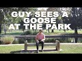 Guy Sees a Goose at the Park