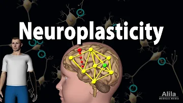 Do we lose plasticity as we age?
