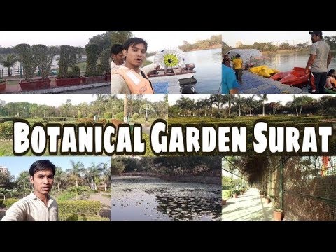 वीडियो: बॉटनिकल गार्डन कैसे जाएं