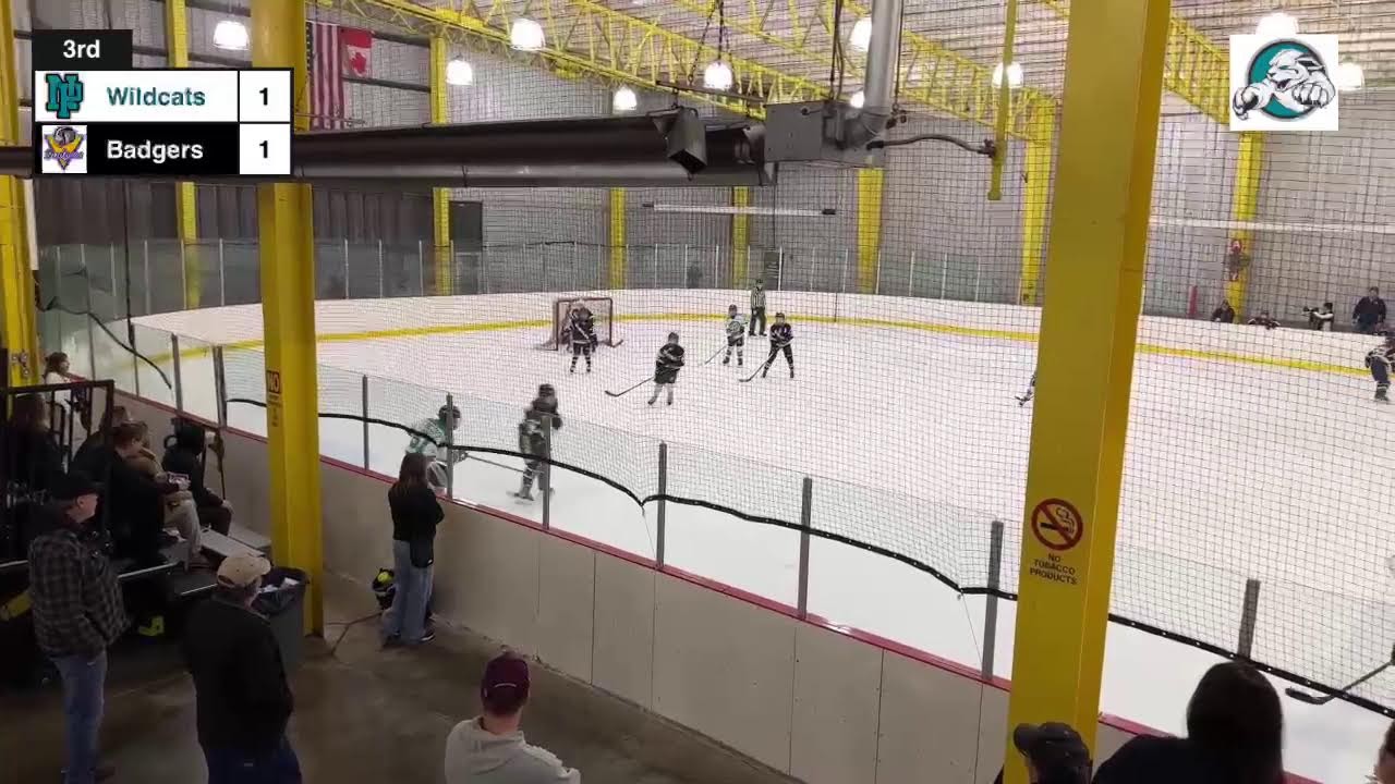 North PGH Wildcats 10U-4 vs Beaver County Badgers - 2025 Nutcracker Tournament Game 2