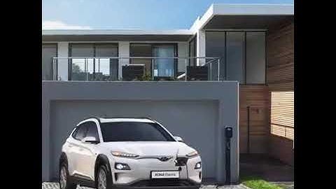 SAS Hyundai - World Environment Day