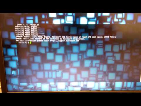 MSSQL ON linux