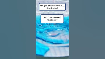 Are you smarter than a 5th grader? #Areyousmarterthana5thgrader #Generalknowledgequiz #Quiz