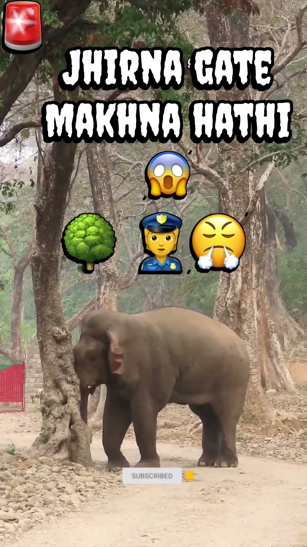 Jungle ka Makhna Haathi: Achanak Attack aur Tense Encounter! 🐘😲 #nature #viral