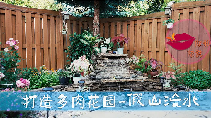 【你邢你说】打造多肉花园 - 假山流水 - 天天要闻