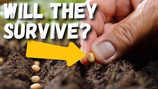 Will Our SEEDS Survive??
