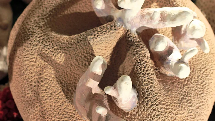Beneath the Surface: Rediscovering a World Worth C...