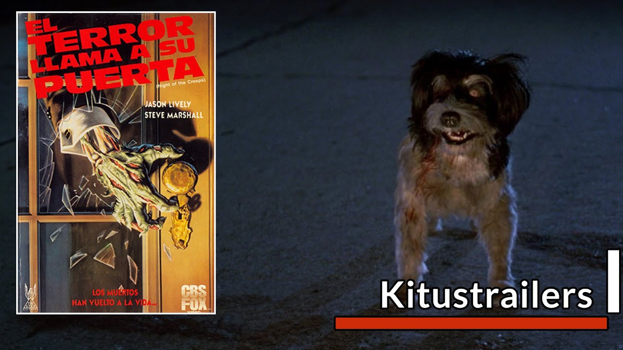 Kitustrailers : EL TERROR LLAMA A SU PUERTA (Trailer en Español) - YouTube