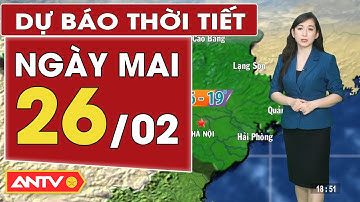 Dự báo thời tiết mới nhất ngày mai 26/2: Bắc Bộ rét đậm, rét hại; Trung Bộ mưa rét | ANTV