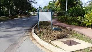 Walking From The Hilton Hotel To Pebbles Beach Barbados??