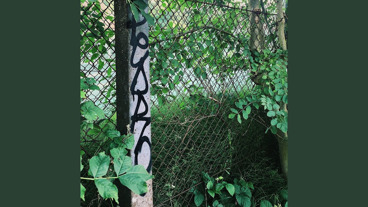 Watch Pips on YouTube Watch Pips on YouTube