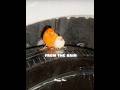 Two Tiny Birds Changed His Life Forever