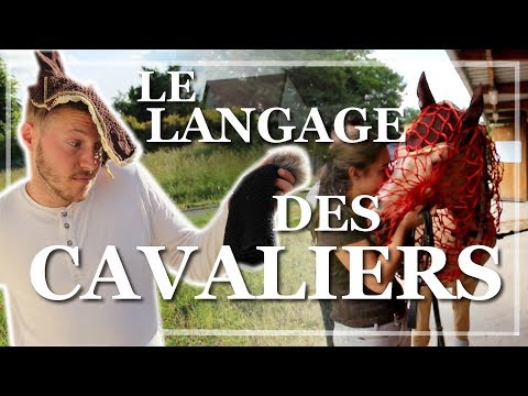 Vidéo: Les cavaliers sont-ils un mot ?