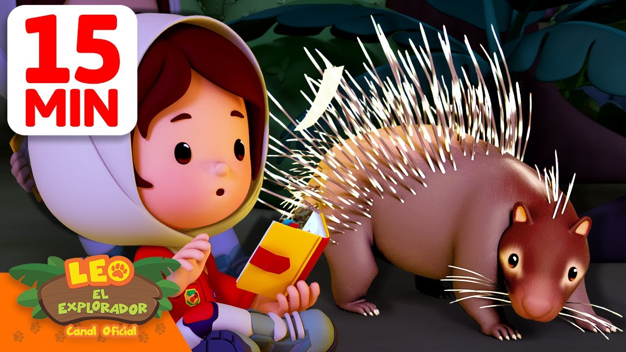 ¡Cuidado con las púas del puercoespín! 🦔 | Leo, El Explorador | Animación