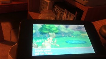 First Carvanha on Youtube on Alpha Sapphire