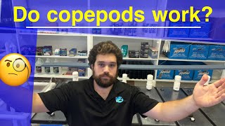 Don’t add copepods to saltwater reef aquarium before watching this.