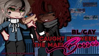 “Caught Between The Mafia 𝘽𝙤𝙨𝙨𝙚𝙨~” || GCMM || POLYAM || BL/GAY || Gacha mini movie