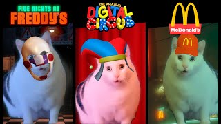 Huh Cat: Different Universes