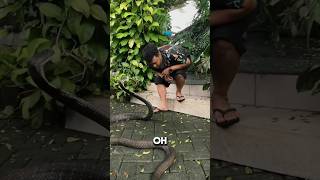 Big Lenny: Dont Get Yourself into Stupid Situations 🐍