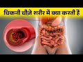          lipid metabolism in hindi