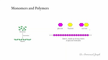 AP Bio 1.3 : Introduction to Biological Macromolecules