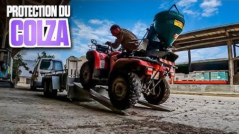 ON S'OCCUPE DU COLZA ! (1 mois dans ma peau 29/31)