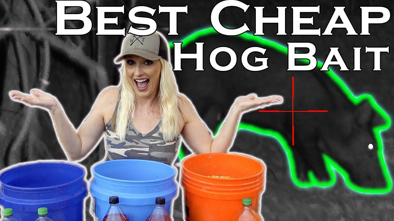 How to Make PIG BAIT! CHEAP Hog Bait Recipe! Want the Best Hog Bait? We did  a 3 Flavor Taste Test! 