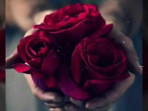 سيمفونية معتز رائعة