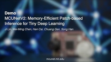 MCUNetV2 Demo (no BGM)