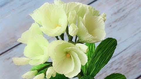 ABC TV | How To Make Green Paper Flower From Crepe Paper - Craft Tutorial